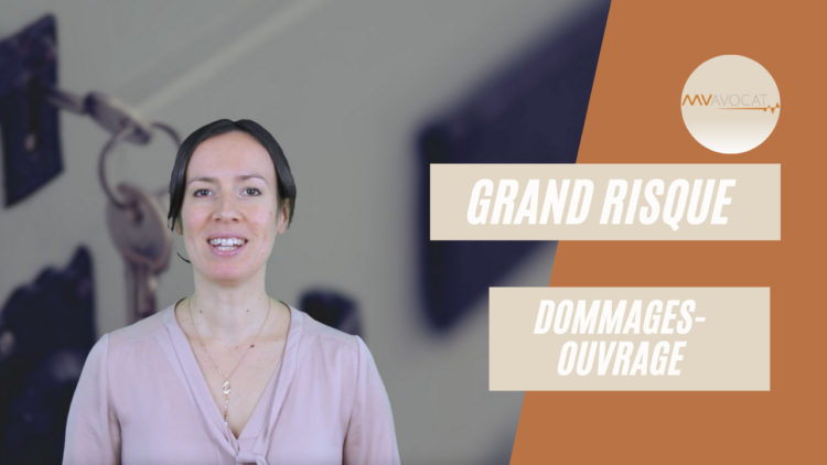 Grand risque et dommage ouvrage