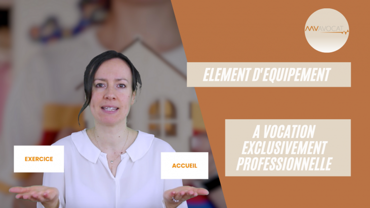 element d equipement a vocation exclusivement professionnelle