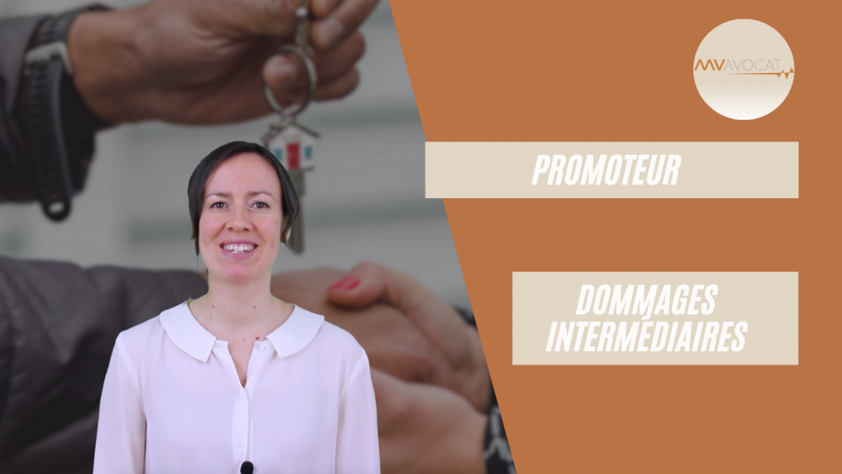 Promoteur et dommages intermediaires