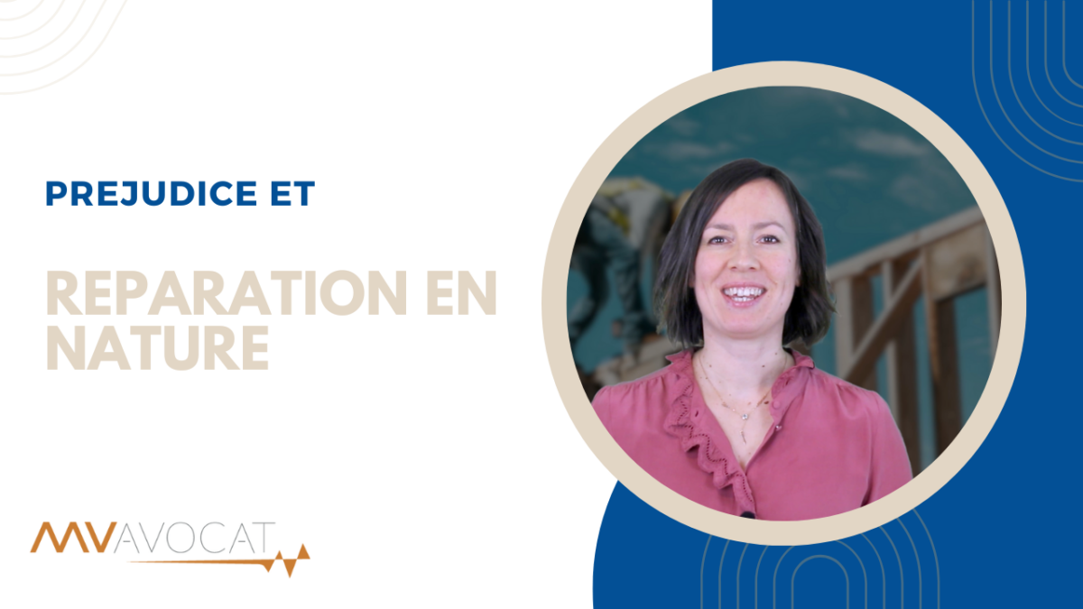 reparation en nature du prejudice