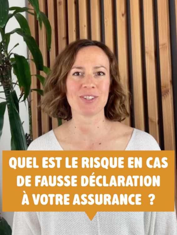fausse declaration