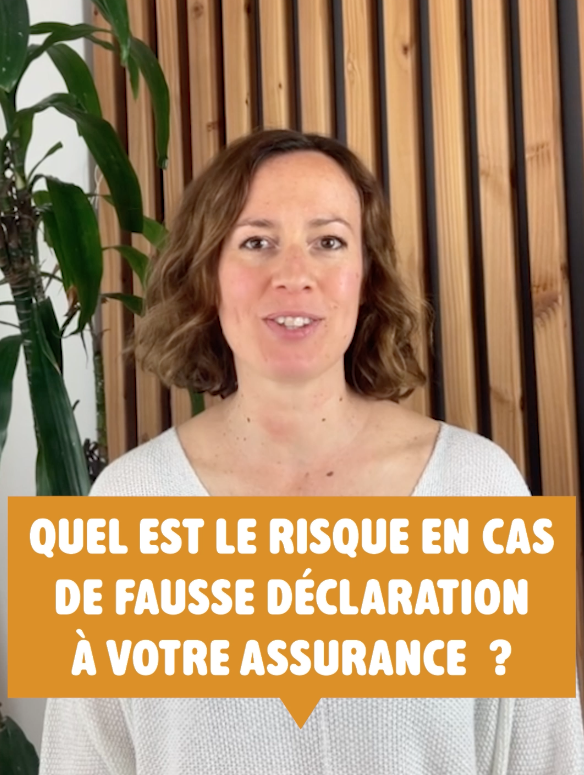 fausse declaration